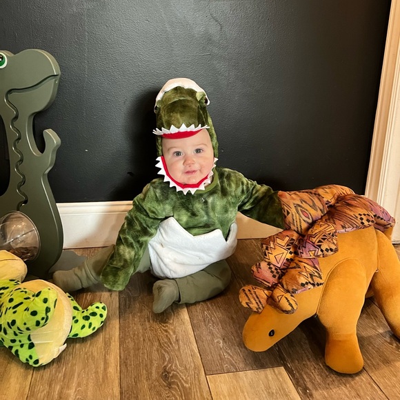 Pottery Barn size 6-12 month,  Baby Dinosaur Egg Halloween Costume - Picture 2 of 2